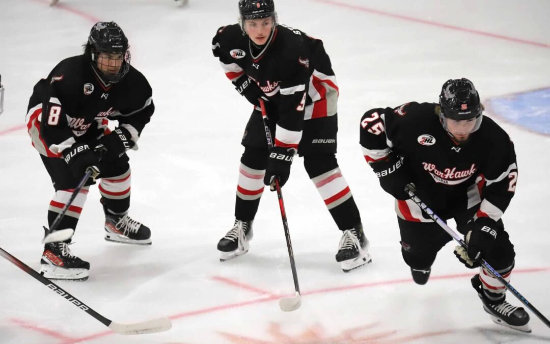 WarHawks drop 2 games to Alexandria