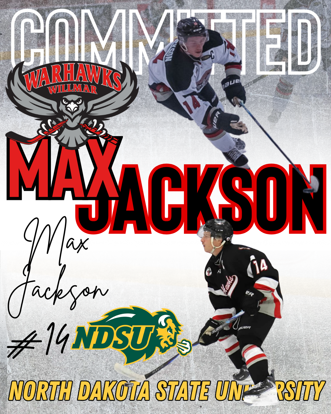 Hawks Committed (1)