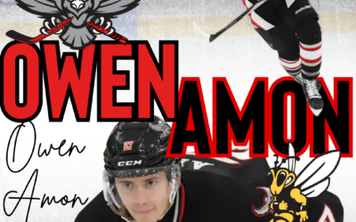 AMON COMMITS TO UNIVERSITY OF WISCONSIN-SUPERIOR